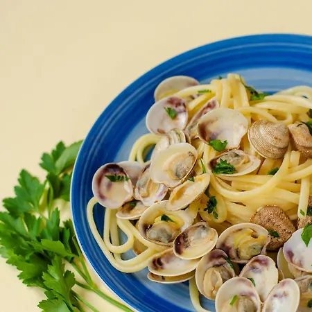 Grillo Superior - Enjoy Your Life! Capo Vaticano